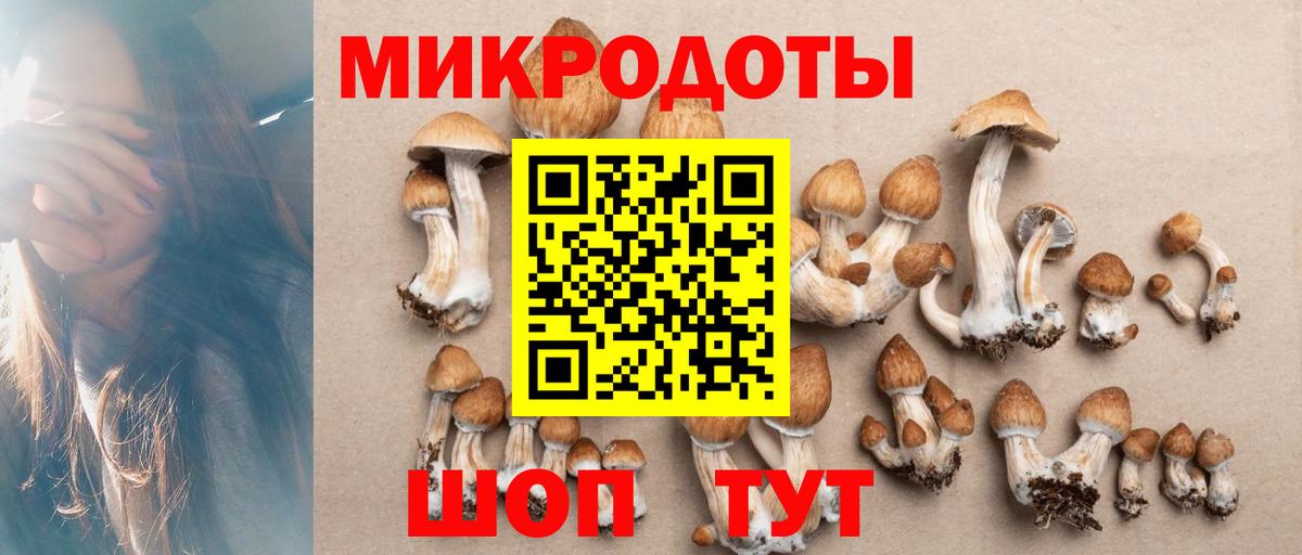 Абинск  Галлюциногенные грибы мицелий  Вход с VPN 